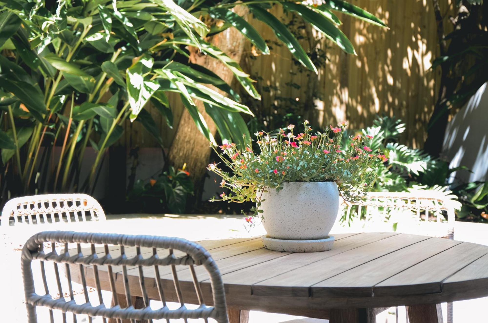 Garden Studio,1617466628:JPEG